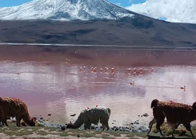 laguna colorada